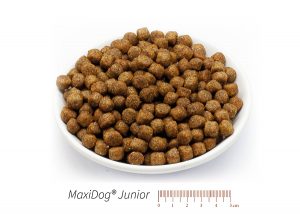 MaxiDog® Junior