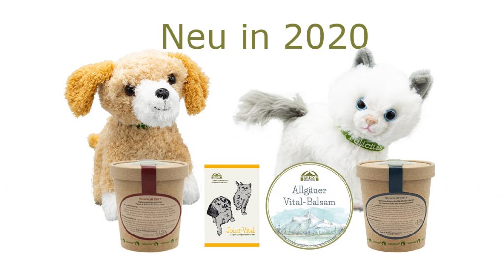 Neue Reico Produkte 2020
