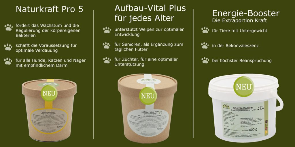 Neue Reico Produkte 2021