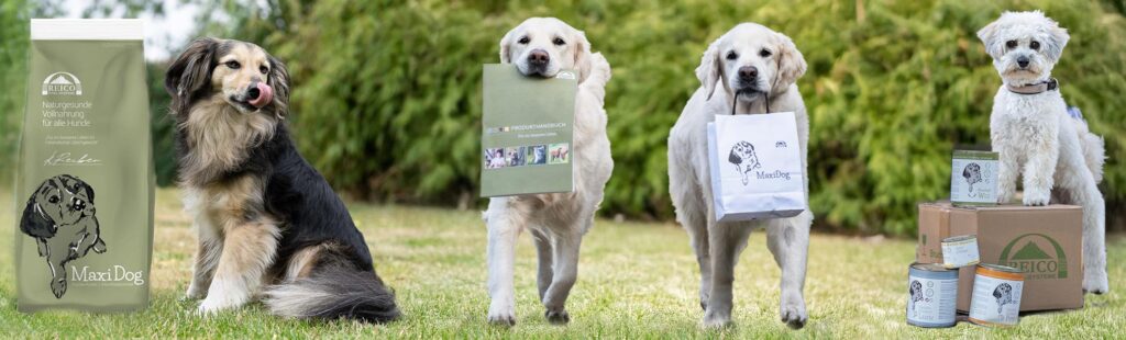 Reico begeistert Hunde